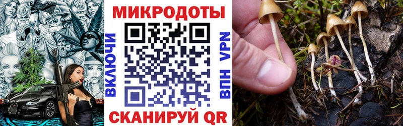 Псилоцибиновые грибы Psilocybe Белебей
